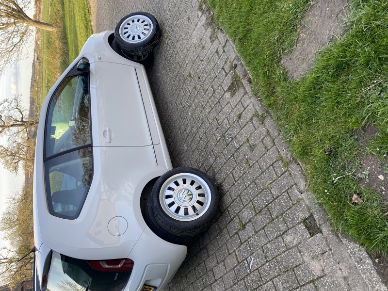 2715B1A2-2425-42D3-845A-995E0F23CD99.jpeg (5.97 MiB) 12058 keer bekeken 2715B1A2-2425-42D3-845A-995E0F23CD99.jpeg